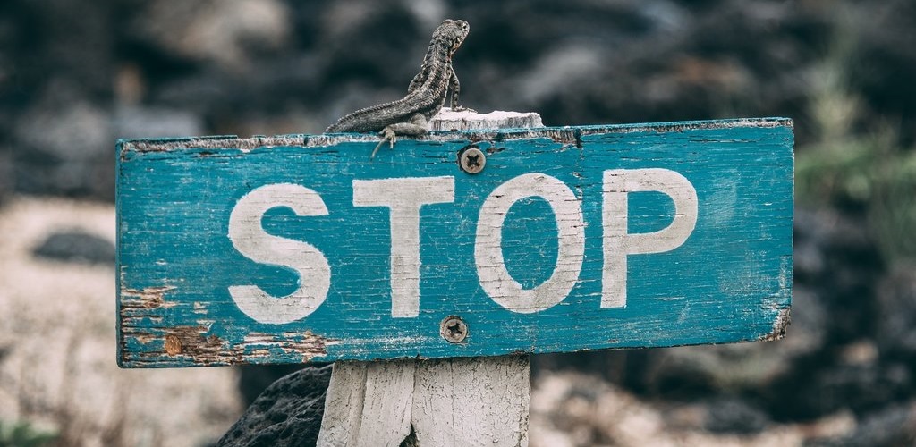 stop sign with lizard on top